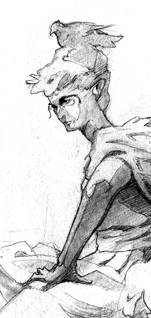 Lady of Birds, traditional fine-art pencil drawing of a fantasy character, a woman sitting with a crown of birds
