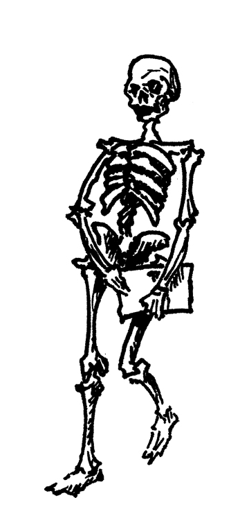 Sketches of skeleton mascots doing everyday work tasks